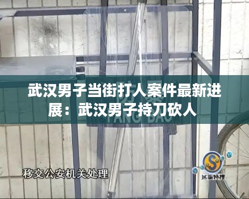 武汉男子当街打人案件最新进展:武汉男子持刀砍人