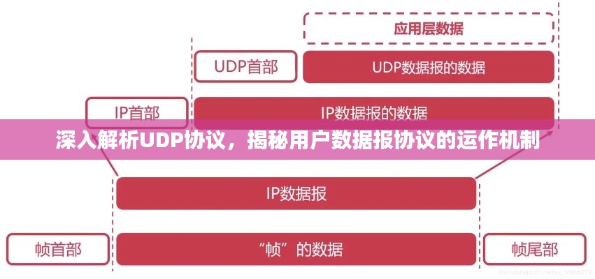 深入解析UDP协议,揭秘用户数据报协议的运作机制