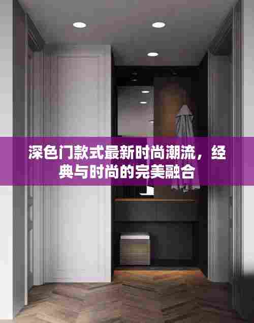 深色门款式最新时尚潮流,经典与时尚的完美融合