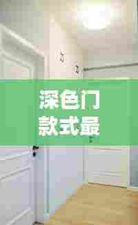 深色门款式最新时尚潮流,经典与时尚的完美融合