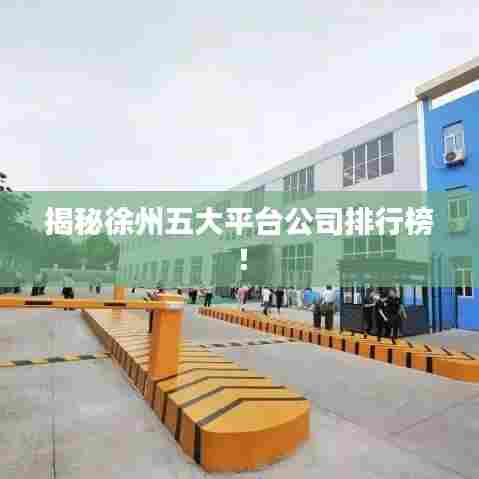 揭秘徐州五大平台公司排行榜!