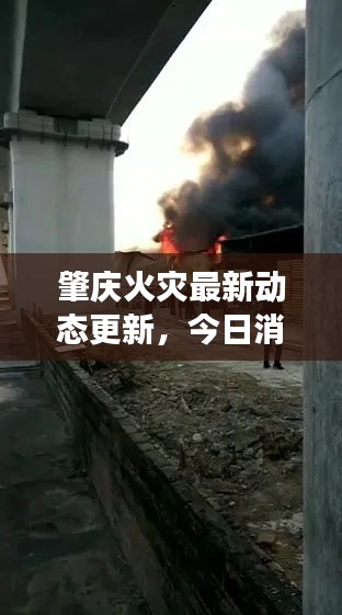 肇庆火灾最新动态更新，今日消息揭秘灾难现场实情