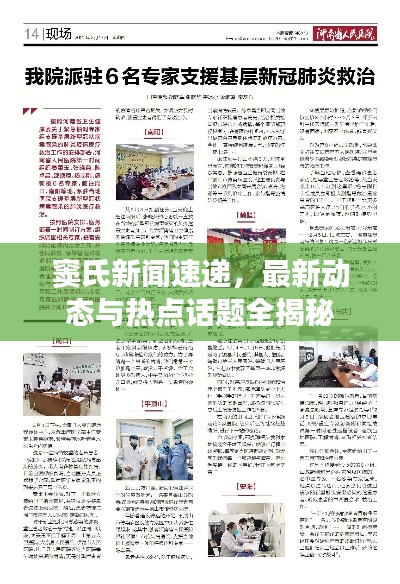 窦氏新闻速递,最新动态与热点话题全揭秘