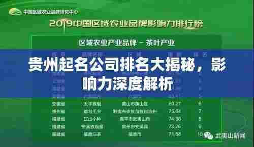 贵州起名公司排名大揭秘,影响力深度解析