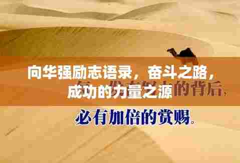 鸢飞鱼跃 第4页