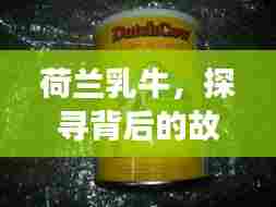 荷兰乳牛，探寻背后的故事，百度带你深入了解