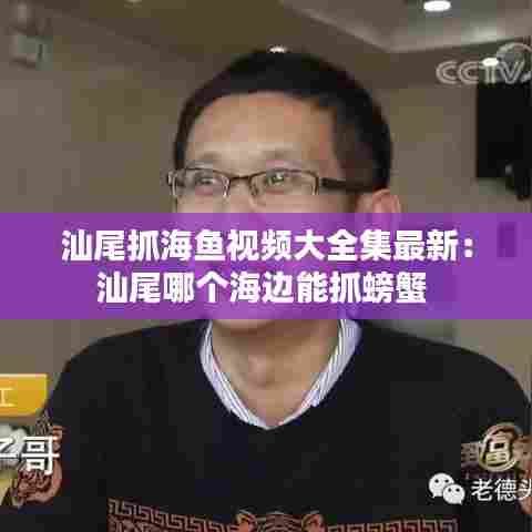 汕尾抓海鱼视频大全集最新:汕尾哪个海边能抓螃蟹
