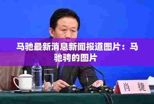 马驰最新消息新闻报道图片：马驰骋的图片 