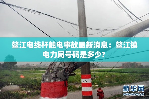 鳌江电线杆触电事故最新消息：鳌江镇电力局号码是多少? 