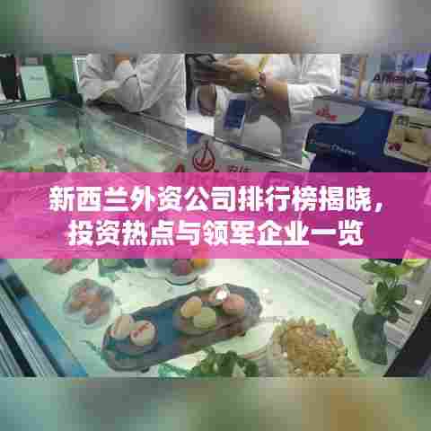 新西兰外资公司排行榜揭晓,投资热点与领军企业一览