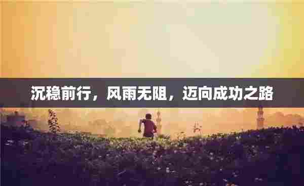 沉稳前行，风雨无阻，迈向成功之路