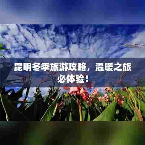 昆明冬季旅游攻略,温暖之旅必体验!