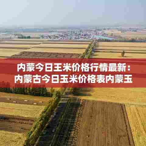 内蒙今日王米价格行情最新:内蒙古今日玉米价格表内蒙玉米价格官网