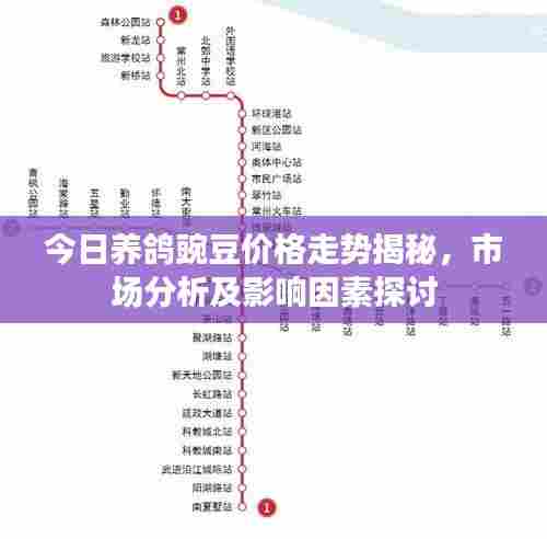 今日养鸽豌豆价格走势揭秘,市场分析及影响因素探讨