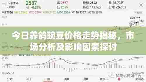 今日养鸽豌豆价格走势揭秘,市场分析及影响因素探讨