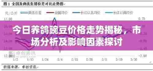 今日养鸽豌豆价格走势揭秘,市场分析及影响因素探讨