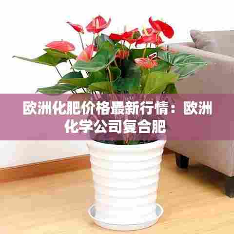 欧洲化肥价格最新行情:欧洲化学公司复合肥