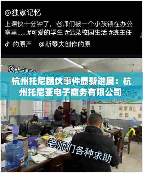 杭州托尼团伙事件最新进展:杭州托尼亚电子商务有限公司