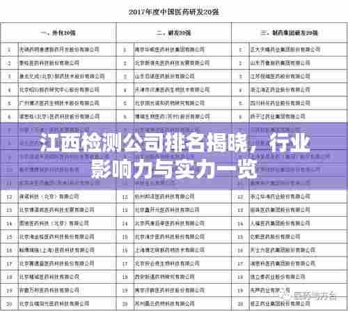 江西检测公司排名揭晓,行业影响力与实力一览