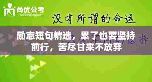 风流潇洒 第4页