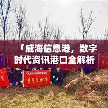 「威海信息港，数字时代资讯港口全解析」