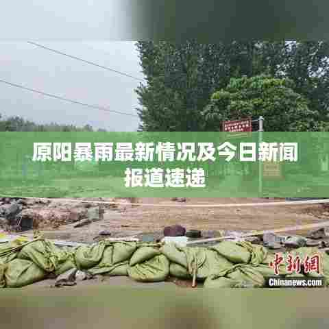原阳暴雨最新情况及今日新闻报道速递