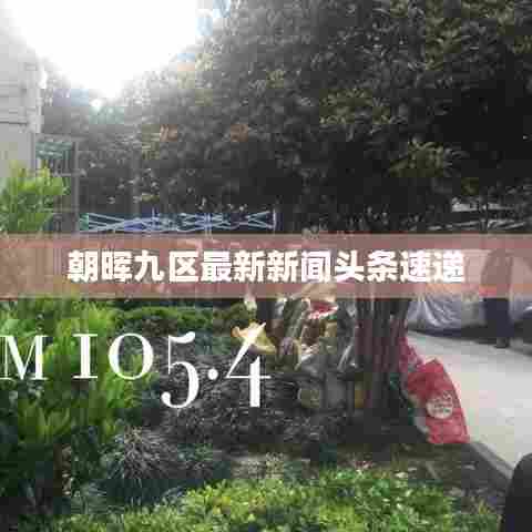 朝晖九区最新新闻头条速递