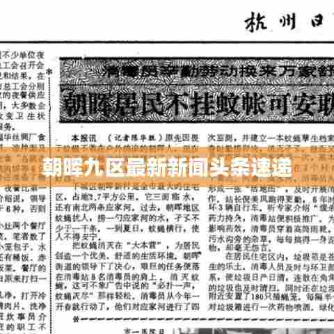 朝晖九区最新新闻头条速递
