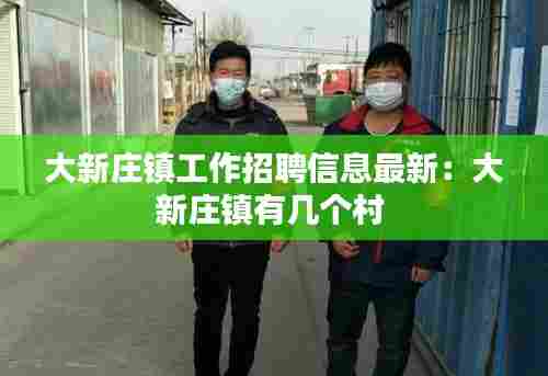 大新庄镇工作招聘信息最新:大新庄镇有几个村
