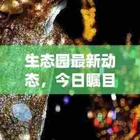 生态园最新动态,今日瞩目消息全解析