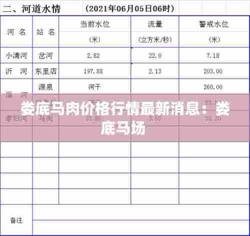 娄底马肉价格行情最新消息：娄底马场 