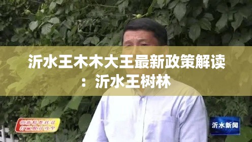 沂水王木木大王最新政策解读:沂水王树林