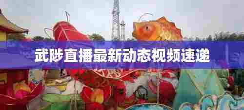 武陟直播最新动态视频速递