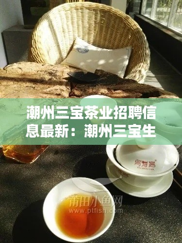 潮州三宝茶业招聘信息最新:潮州三宝生产厂家