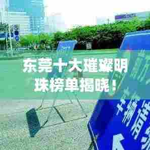 东莞十大璀璨明珠榜单揭晓！