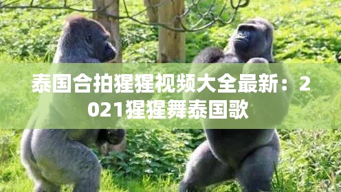 泰国合拍猩猩视频大全最新:2021猩猩舞泰国歌