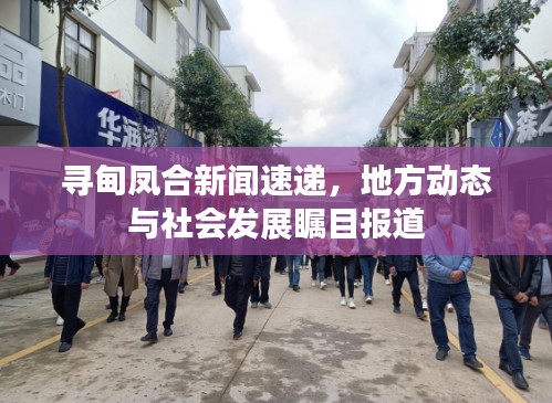 寻甸凤合新闻速递,地方动态与社会发展瞩目报道