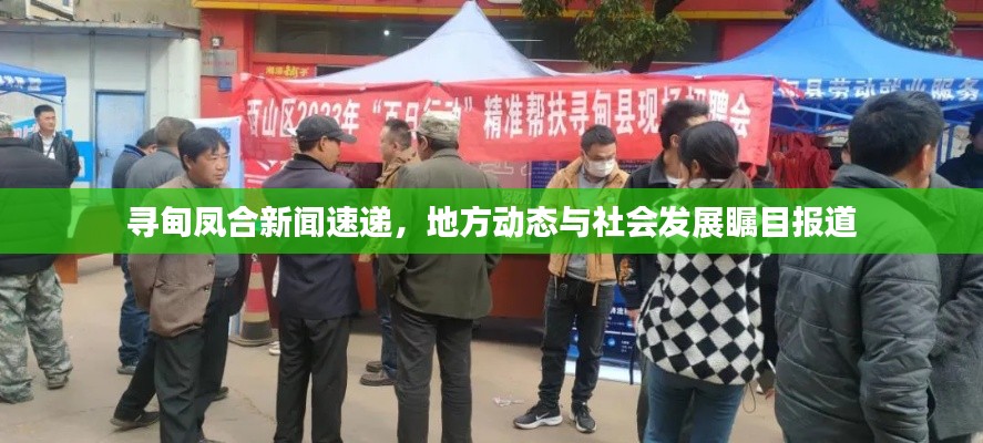 寻甸凤合新闻速递,地方动态与社会发展瞩目报道