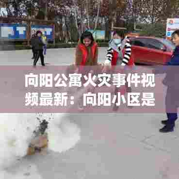 向阳公寓火灾事件视频最新:向阳小区是几几年的房子