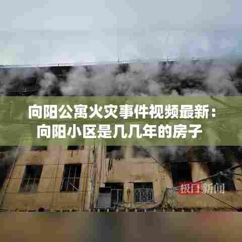 向阳公寓火灾事件视频最新:向阳小区是几几年的房子