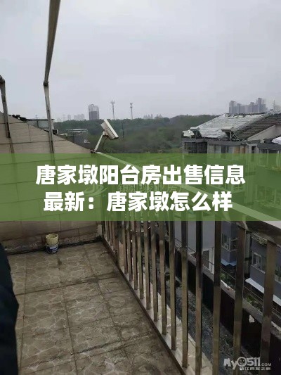 唐家墩阳台房出售信息最新：唐家墩怎么样 