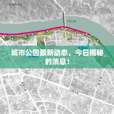 城市公园最新动态，今日揭秘的消息！