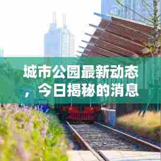 城市公园最新动态,今日揭秘的消息!