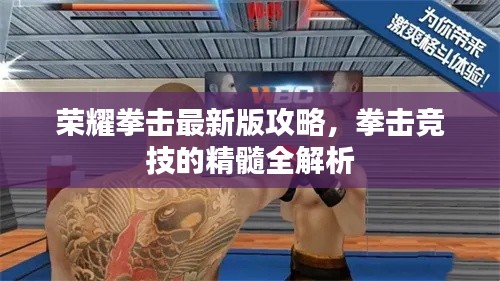 荣耀拳击最新版攻略，拳击竞技的精髓全解析