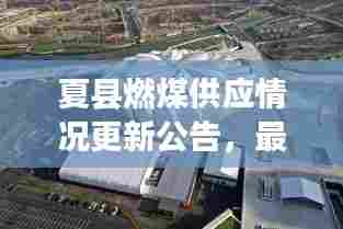 沉重寡言 第3页