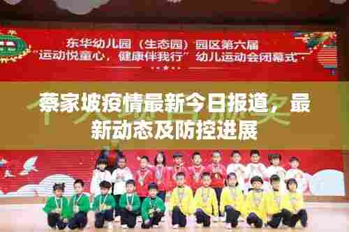 蔡家坡疫情最新今日报道,最新动态及防控进展