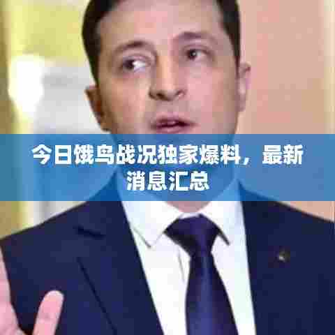 今日饿鸟战况独家爆料,最新消息汇总