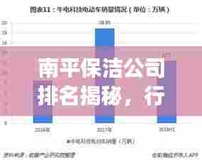 南平保洁公司排名揭秘,行业深度分析与趋势解读