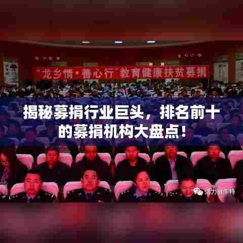 揭秘募捐行业巨头,排名前十的募捐机构大盘点!