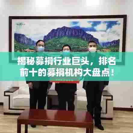 揭秘募捐行业巨头,排名前十的募捐机构大盘点!